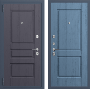 Входные двери в квартиру в Пензе и  Пензенской области